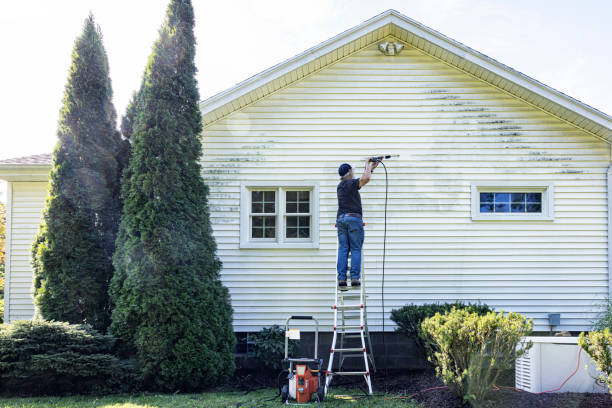 Best Fence Cleaning and Maintenance in Appleton, WI